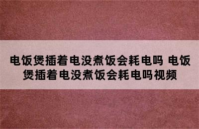 电饭煲插着电没煮饭会耗电吗 电饭煲插着电没煮饭会耗电吗视频